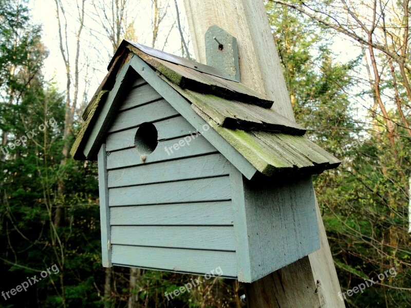 Birdhouse Wood Blue Opening Birds