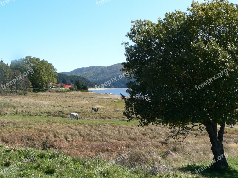 Sila National Park Italy Nature Free Photos