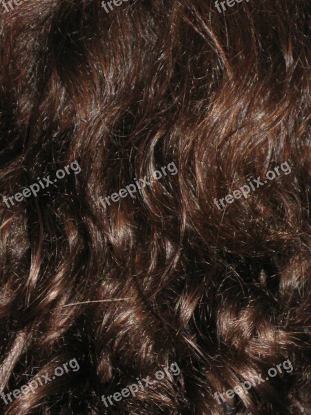 Hair Dark Brunette Curly Lure