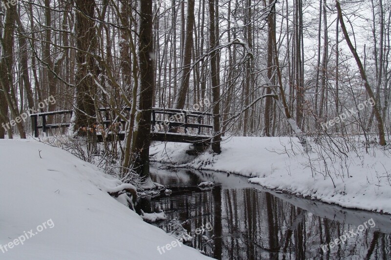 Snow Forest Bridge Snow Landscape Free Photos