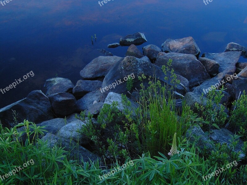 Sweden Lake Bank Stones Plant