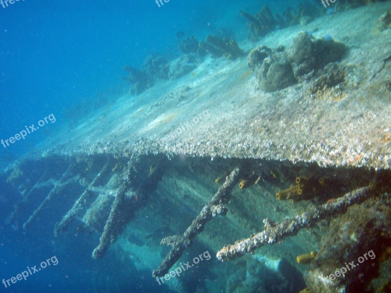 Diving Underwater Wreck Aruba Sea