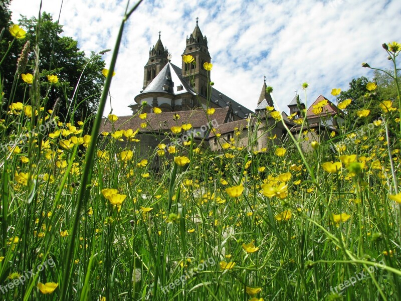 Monastery Comburg Schwäbisch Hall Meadow Bloom