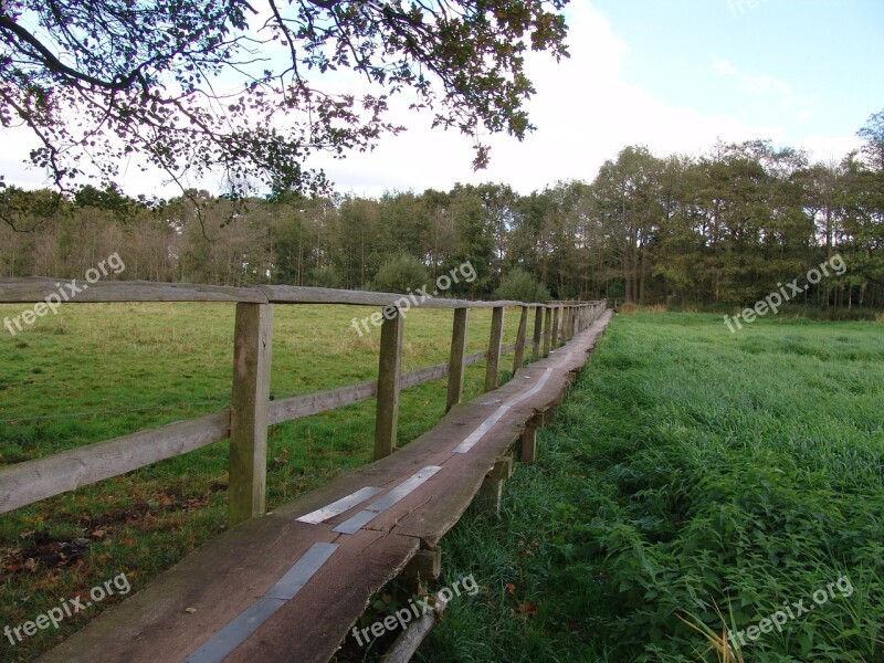 Bridge Web Hiking Nature Free Photos