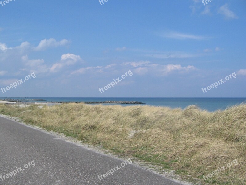 Baltic Sea Dune Beach Free Photos