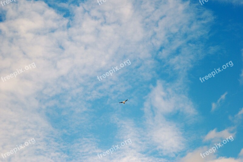 Sky Clouds Blue Cloud Space