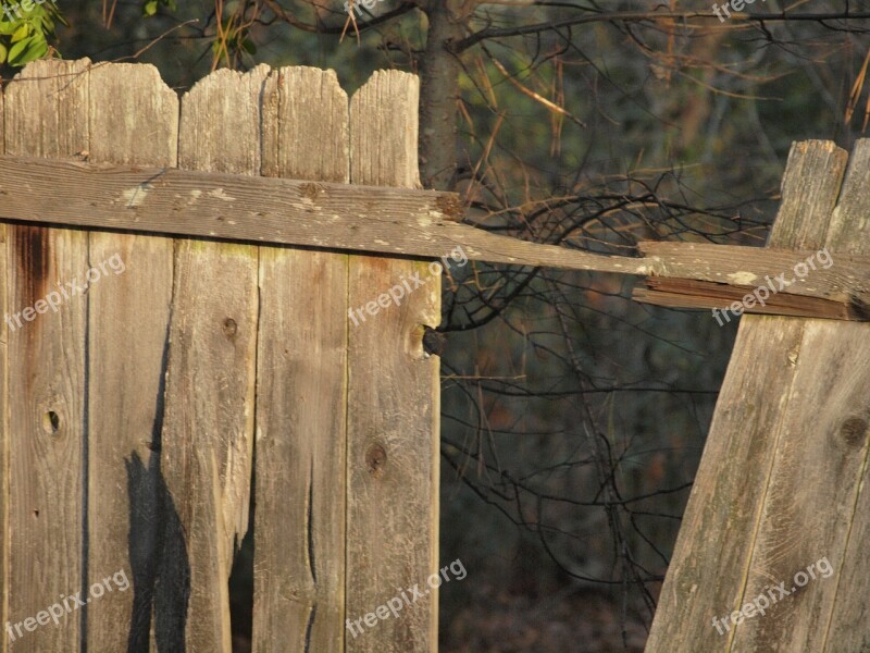 Fence Wood Wooden Planks Collapsed