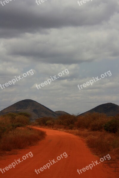 Safari Road Orange Dust Sand