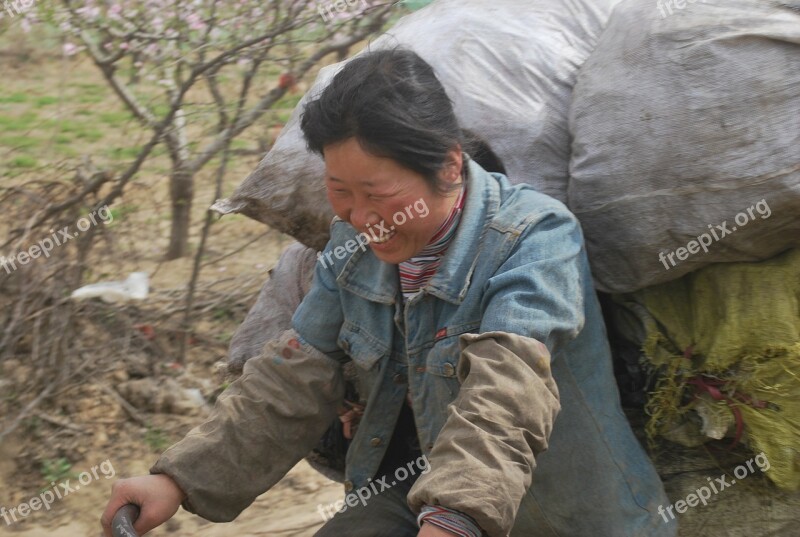 Woman Chinese Smile Worker Person