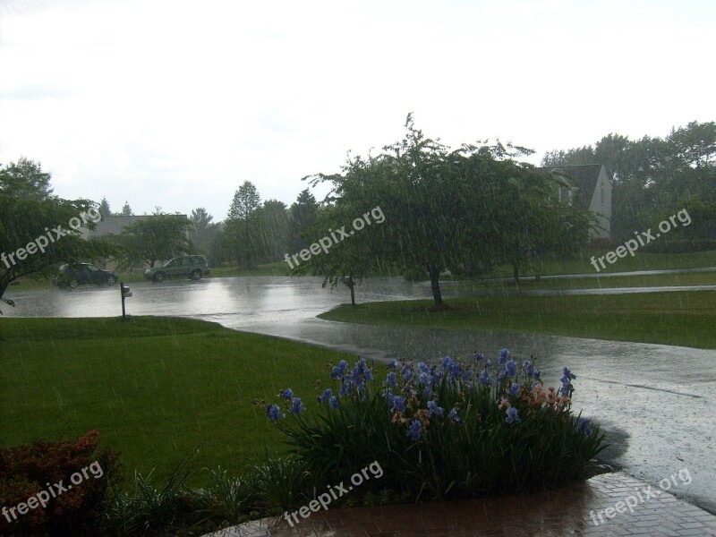 Rain Shower Water Wet Car