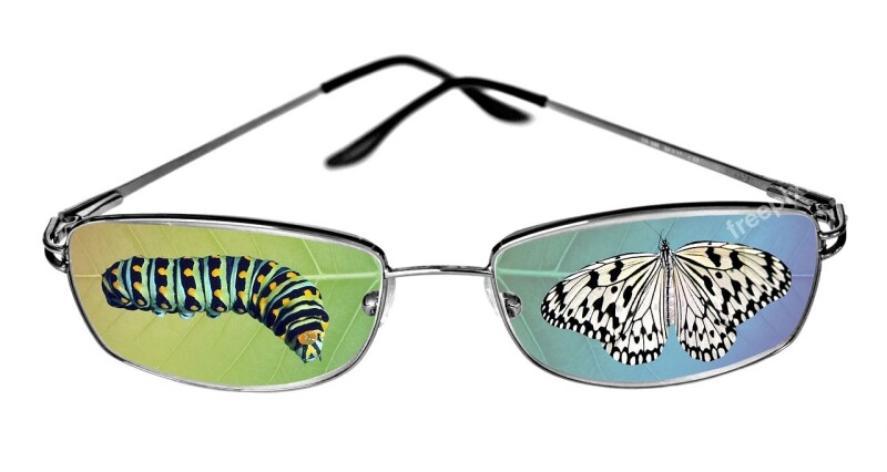 Butterfly Caterpillar Eyeglasses Lens Fantasy