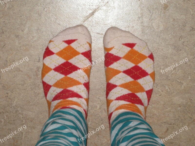 Feet Socks Checkered Striped Pants