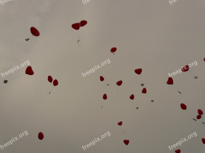 Balloons Heart Love Cards Flying