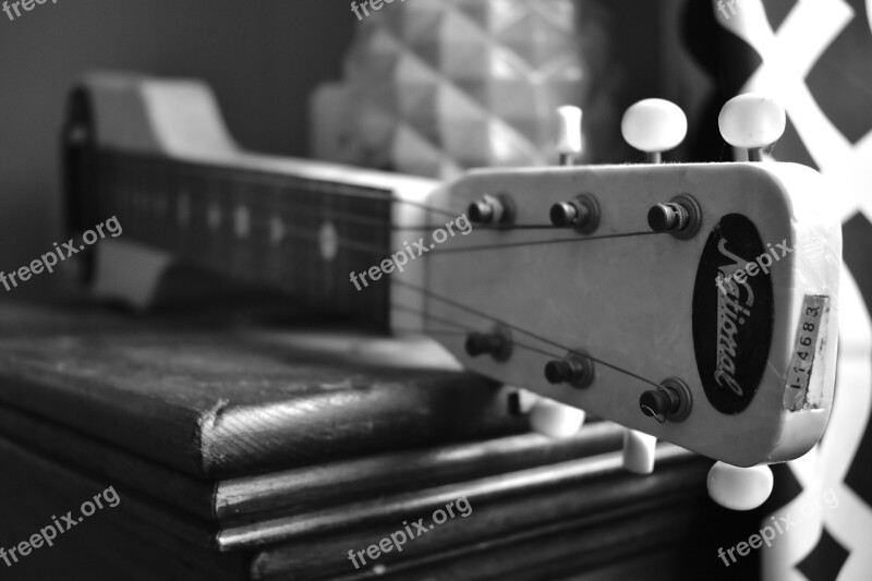 Steel Guitar National Blues Music Free Photos