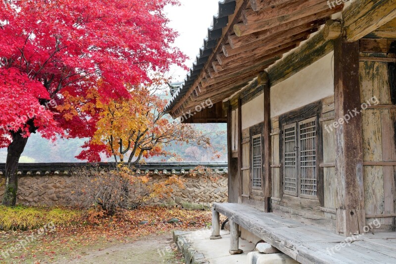 Korea Temple Section Buddhism Landscape