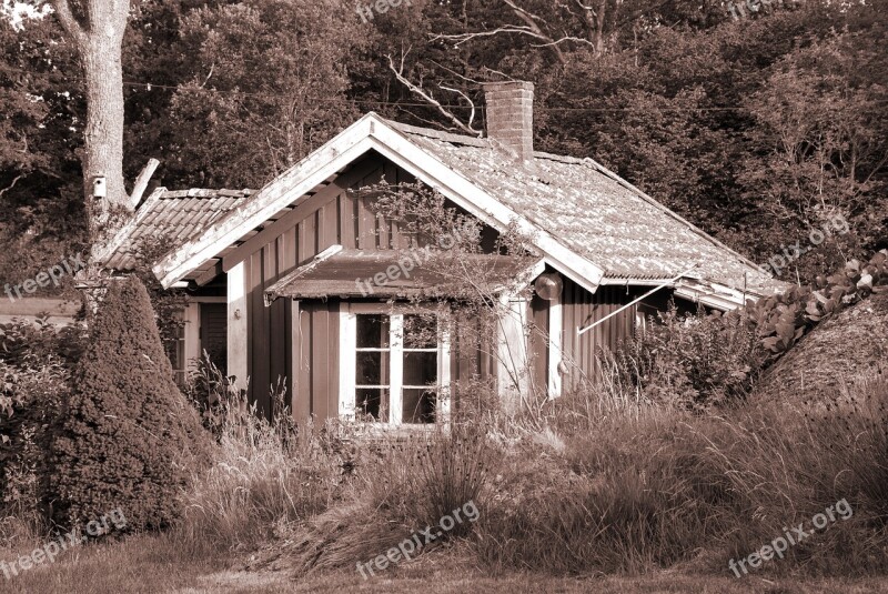 Cottage Old Wooden Cottage By Rural