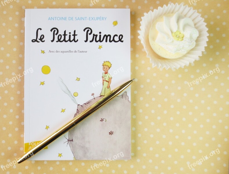 Pettite Prince Books Read Book Literary