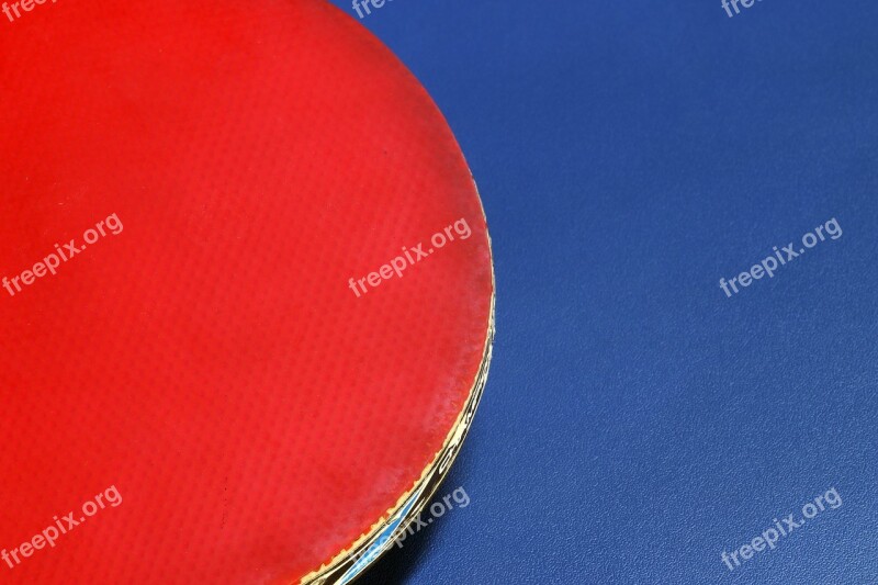 Table Tennis Ping-pong Ball Games Sport Hobby