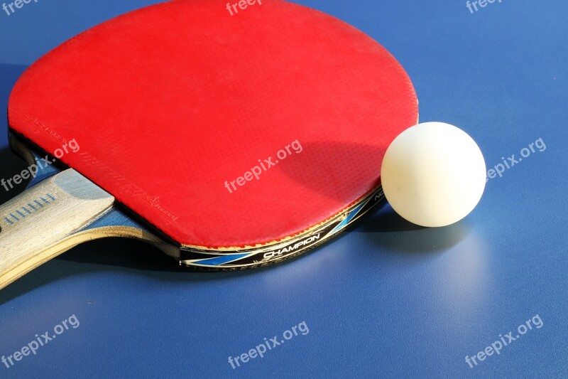 Table Tennis Ping-pong Ball Games Sport Hobby