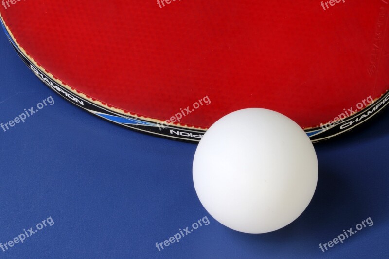 Table Tennis Ping-pong Ball Games Sport Hobby