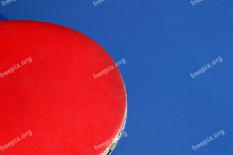 Table Tennis Ping-pong Ball Games Sport Hobby