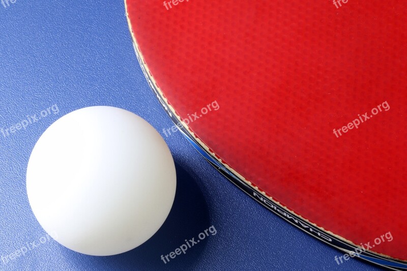 Table Tennis Ping-pong Ball Games Sport Hobby