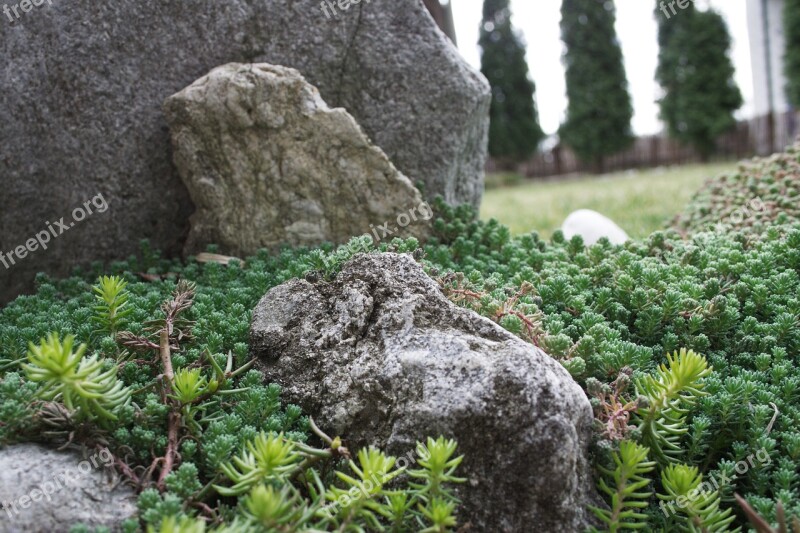 Skalka Garden Stones Plants Free Photos