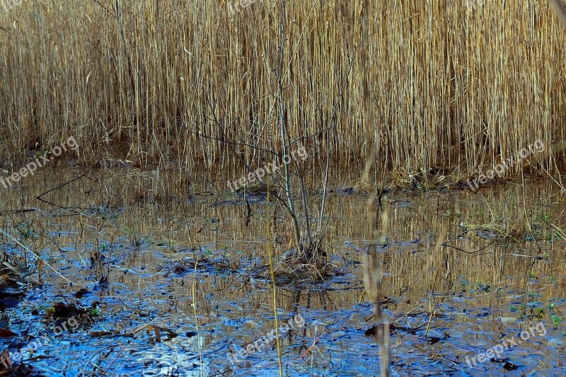 Pools Water Mirroring Nature Biotope