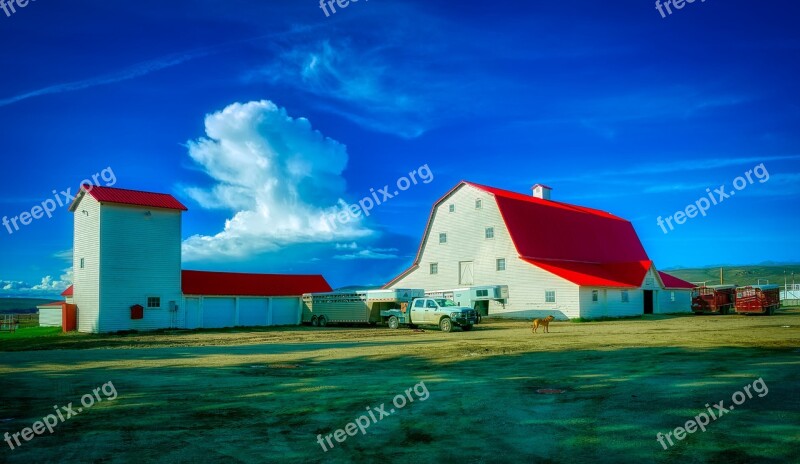 Ranch Farm Wyoming America Dog