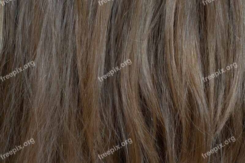 Hair Medium Blonde Blond Nature Human Hair