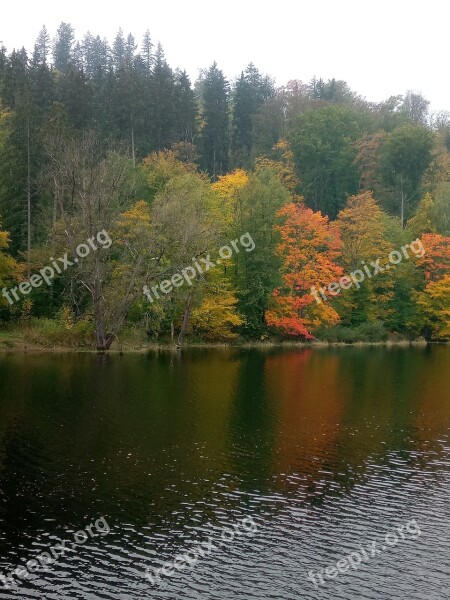 Autumn Forest Thuringia Germany Forest Lake Trees