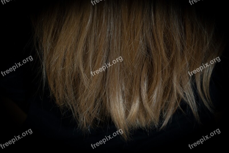 Hair Hair Tips Blond Dark Blonde Female