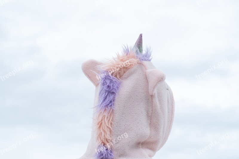 Unicorn Costume Carnival Animal Mythical Animal