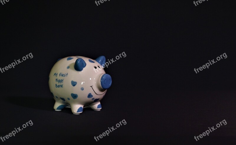 Piggy Bank Savings Cash Bank Pig