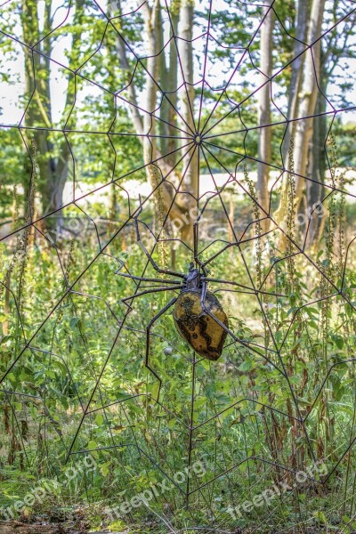 Spider Art Installation Metal Web