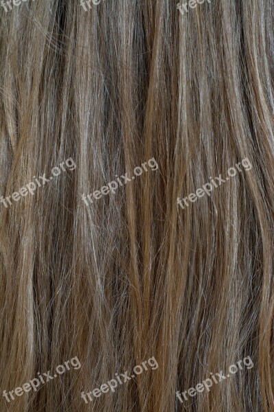 Hair Human Hair Blond Dark Blonde Female