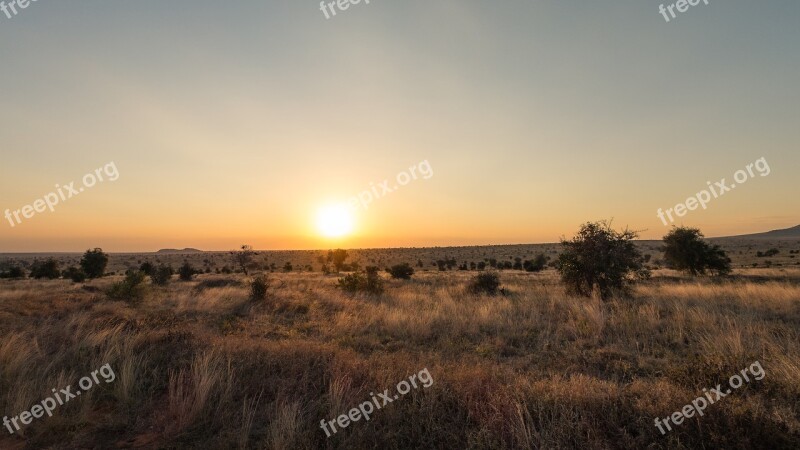 Nature Safari National Park Hot Wilderness