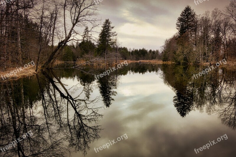 Pond Lake Water Nature Bank