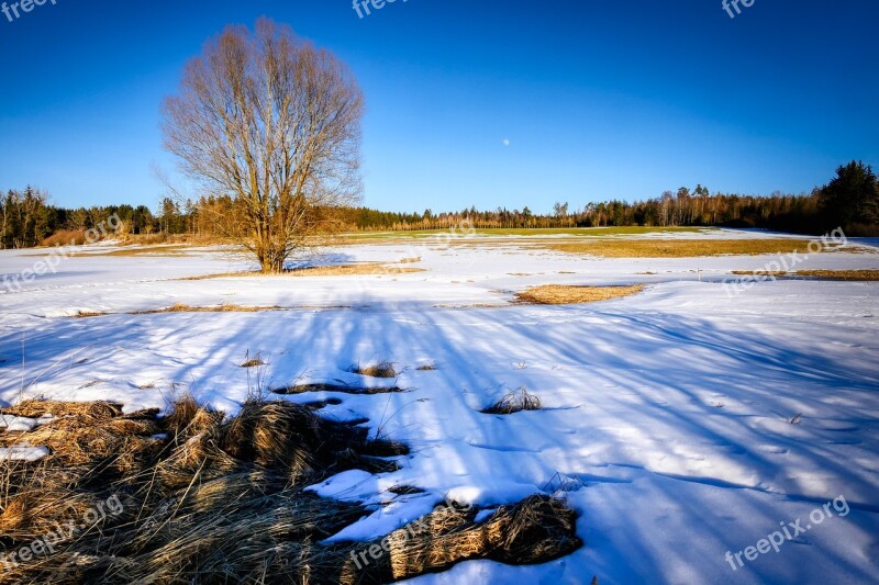 Winter Nature Landscape Wintry Mood