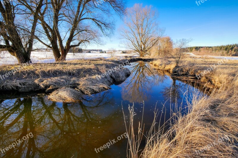 Bach Winter Creek Wintry Nature