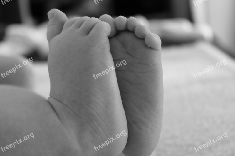 Baby Feet Newborn Small Cute