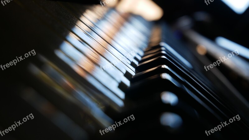 Piano Music Keyboard Music Instrument Free Photos