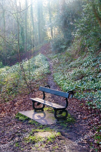 Bench Wood Rest Seat Nature