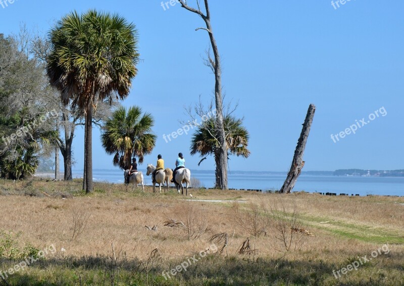 Beach Horseback Equestrian Sea Landscape