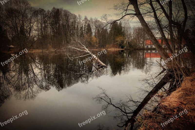 Lake Pond Water Nature Waters