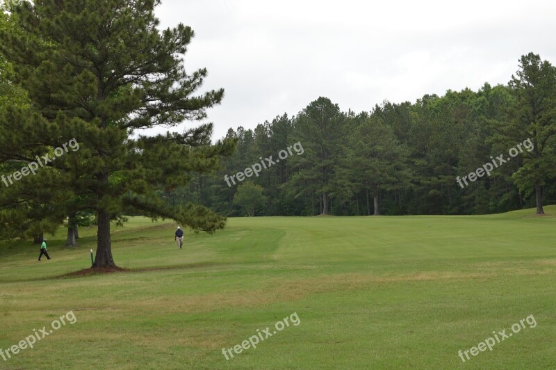 Lawn Golf Fairway Course Free Photos