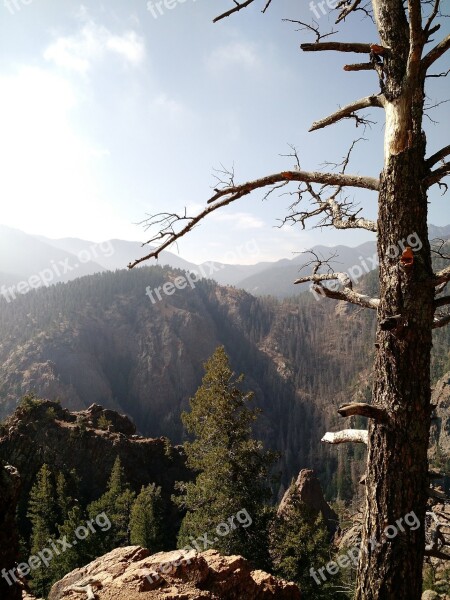 Vista View Mountain Cheyenne Dead Tree