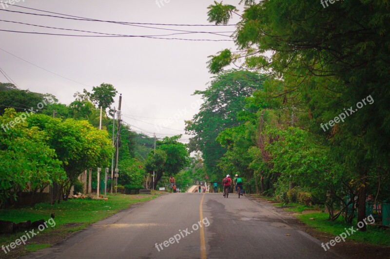 Nature Urban Asphalt Scene Field