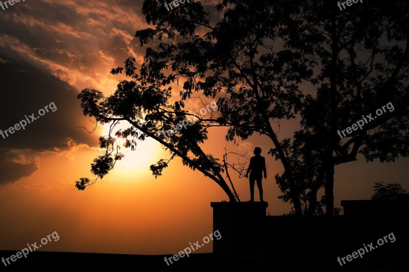 Sunset Tree Nature Trees Landscape