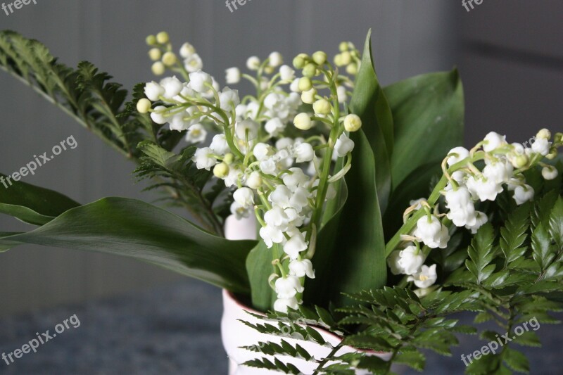 Flowers Thrush White Spring Perfume